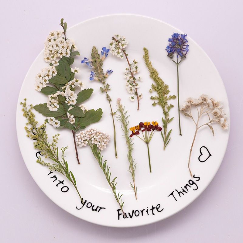 Pacote Grande com 500 Peças de - Dried Flower Bookmark avaliação e preço